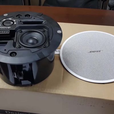 Bose DesignMax DM2C