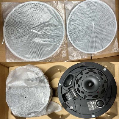 Bose DesignMax DM3C