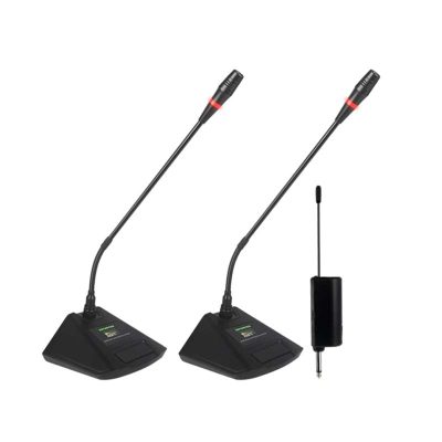 Bộ micro hội nghị cổ ngỗng không dây 2 mic RAYHAYE RTM-014