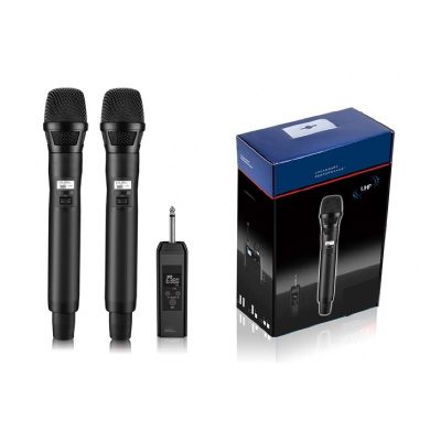 Micro không dây 2 micro cầm RGG HT-D