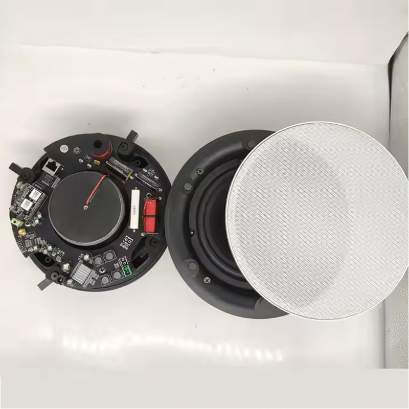 Loa âm trần không dây Bluetooth, Loa âm trần Wifi nên chọn mua loại nào?