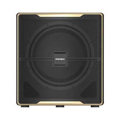 Loa sub điện bass 30 Paramax Z-SUB
