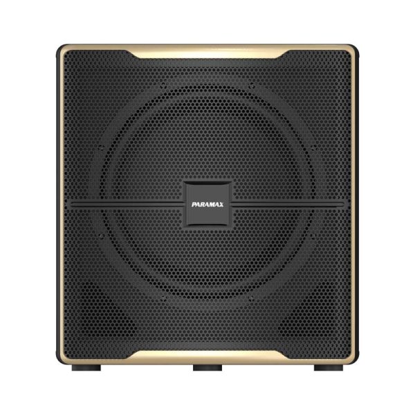 Loa sub điện bass 30 Paramax Z-SUB