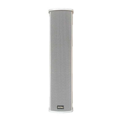 Loa toàn dải treo tường Soundking LC308-W