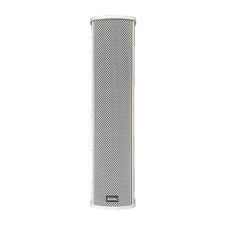 Loa toàn dải treo tường Soundking LC308-W