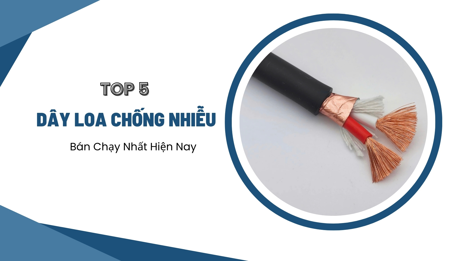 Top 5 Dây Loa Chống Nhiễu Bán Chạy Nhất Hiện Nay