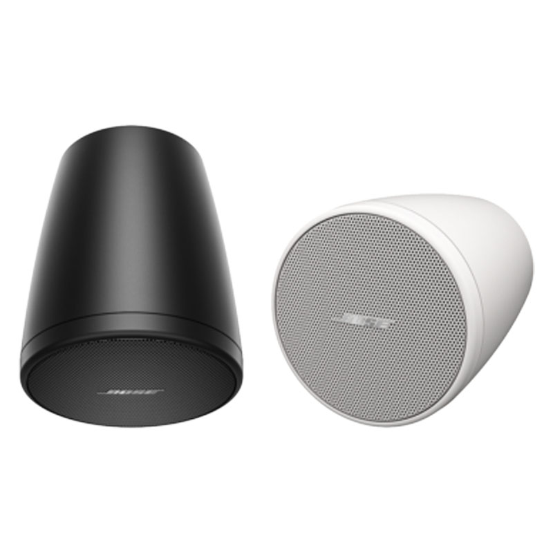 Loa Bose DesignMax DM10P-SUB