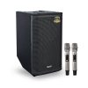Loa di động Arirang EDGE-X Model I