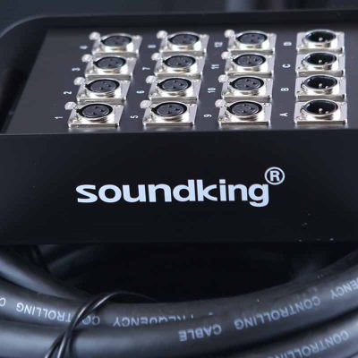 Soundking AH103/30M
