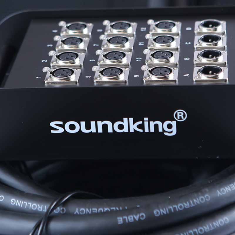 Soundking AH103/30M