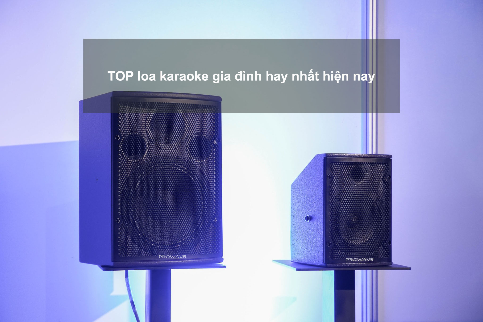 TOP loa karaoke gia đình hay nhất hiện nay