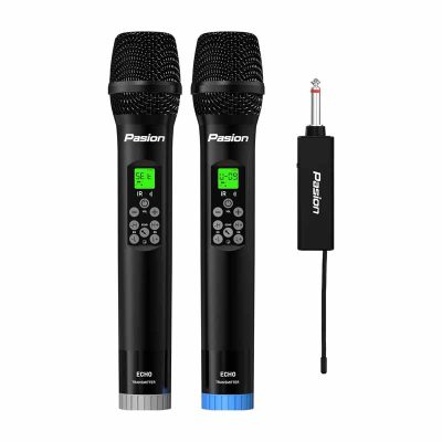 Micro không dây tích hợp DSP Paramax PASION ECHO (2025)