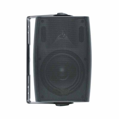 Loa hộp treo tường LINGBA BS-650WP