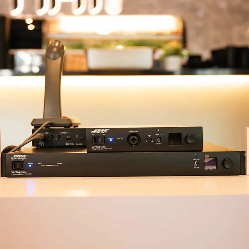 Bose Veritas 1100BH