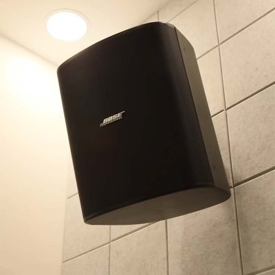 Bose DesignMax DM12SE