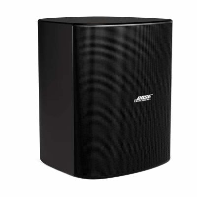 Loa Bose DesignMax DM12SE