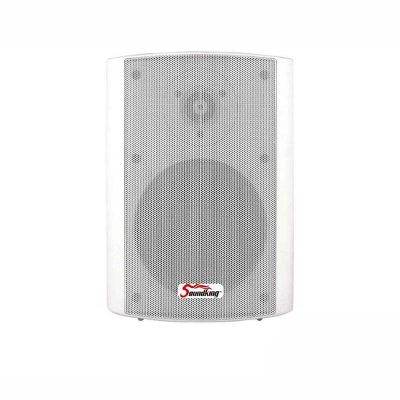 Loa hộp treo tường Soundking SB-030W